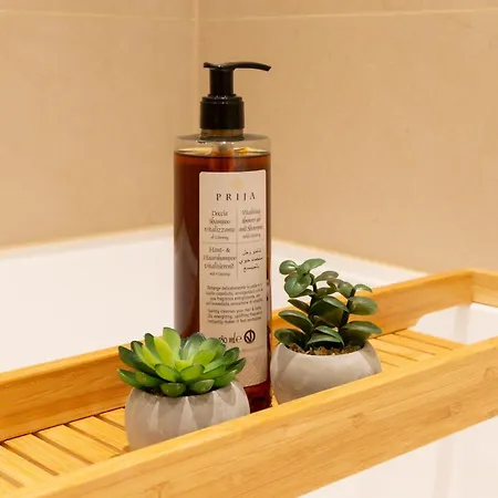 Apartmán Soulscape - Kompakter Loft-wohnraum Mit Lift Direkt In Wohnung, Modern, Zentrumsnah, Gratis Wifi *