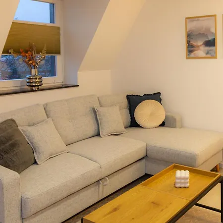 Soulscape - Kompakter Loft-wohnraum Mit Lift Direkt In Wohnung, Modern, Zentrumsnah, Gratis Wifi Daire Zwickau